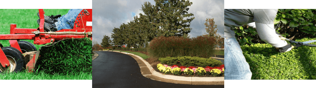 Axon Outdoors Landscaping